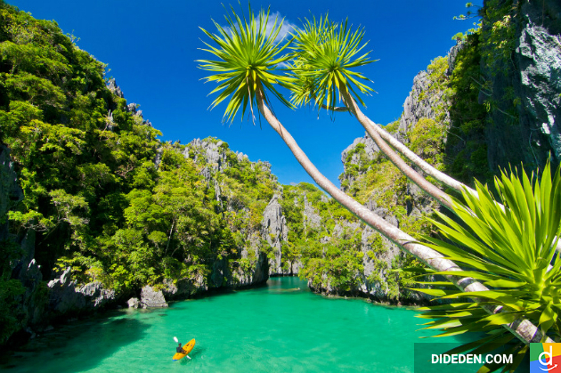 vé máy bay giá rẻ đi manila