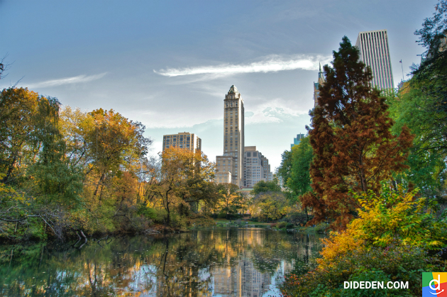 vé máy bay từ đà nẵng đi new york giá rẻ