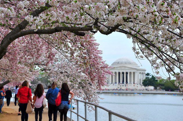 vé máy bay giá rẻ đi washington