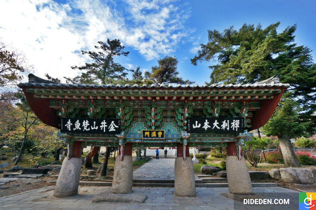 dat ve may bay gia tot tu ha noi di busan