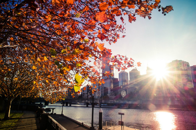 vé máy bay từ hà nội đi melbourne