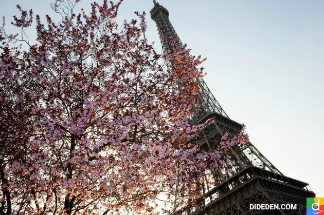 săn vé máy bay từ hà nội đi paris giá rẻ