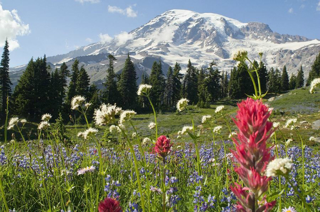 vé máy bay từ hà nội đi seattle giá rẻ nhất