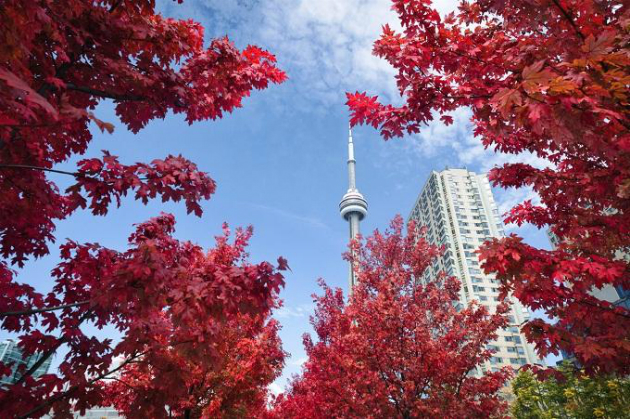 đặt vé máy bay giá rẻ đi toronto