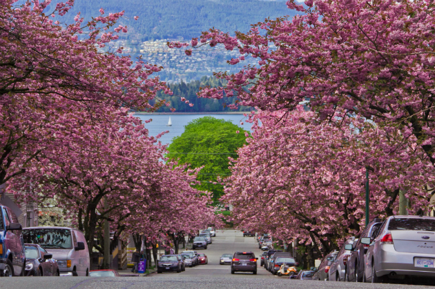 vé máy bay giá rẻ đi vancouver