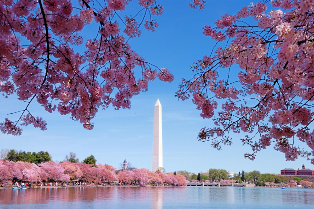 vé máy bay đi washington