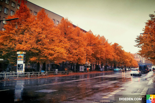đặt vé máy bay giá rẻ đi berlin