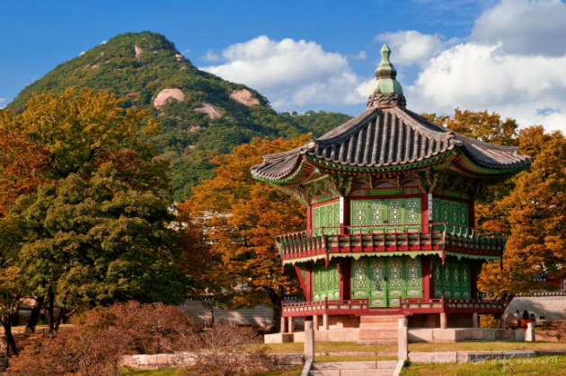 Vé máy bay từ TP.HCM đi Busan