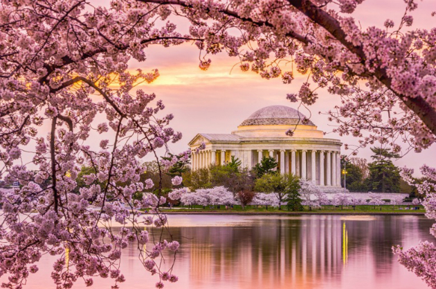 Vé máy bay từ TP.HCM đi Washington