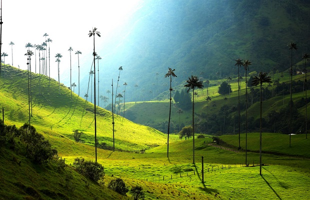 Visa đi Colombia du lịch