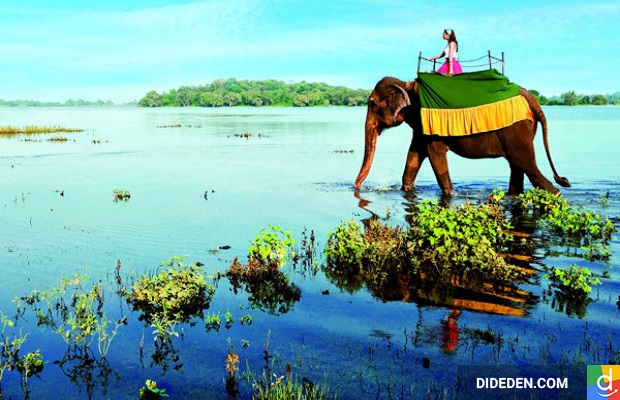 visa di sri lanka cong tac
