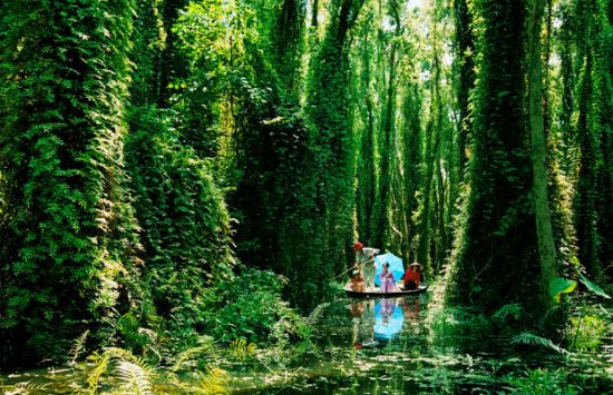 cẩm nang du lịch Đồng Tháp