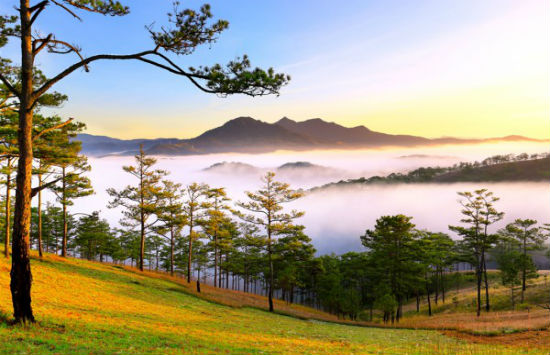 Du lịch Lâm Đồng: Ghé thăm miền sơn cước hùng vĩ, mộng mơ