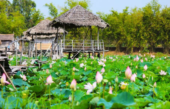 Du lịch Long An: Điểm đến lý tưởng cho ngày cuối tuần