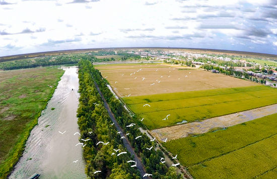 du lịch Long An