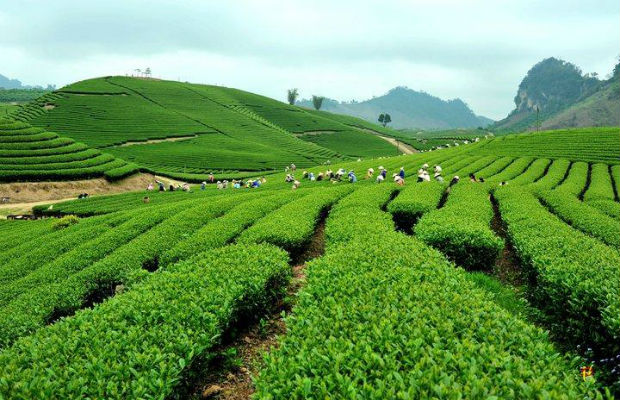 Cẩm nang du lịch miền đất tổ Phú Thọ