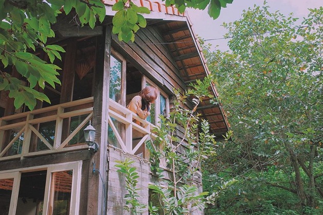 Điểm danh 4 homestay ở Đà Lạt đẹp và dễ thương