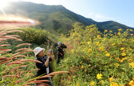 đặt mua vé máy bay đi Pleiku tham gia lễ hội hoa dã quỳ
