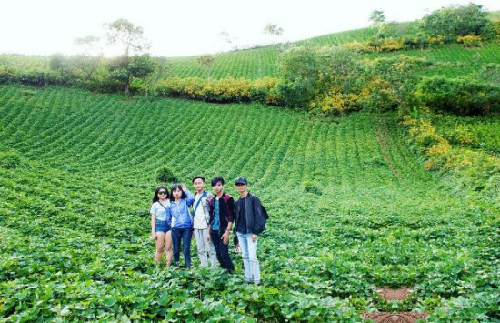đặt vé máy bay đi Pleiku tham gia lễ hội hoa dã quỳ 2017 giá tốt