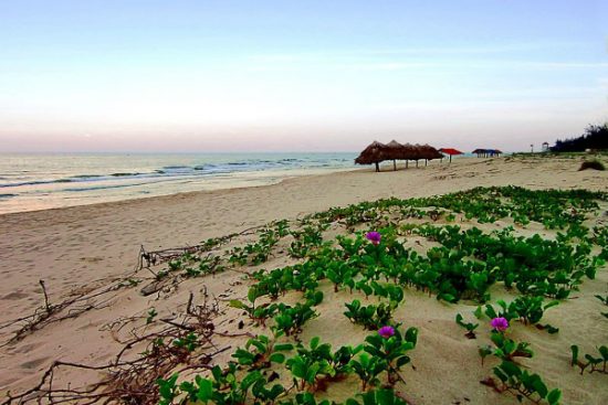 vé máy bay vietjet air đi đồng hới giá rẻ