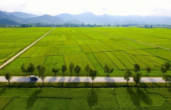 những điểm đến đẹp mê hồn ở điện biên