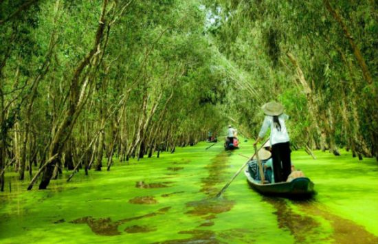 mua tour du lịch an giang dịp tết âm lịch 2017 giá rẻ nhất