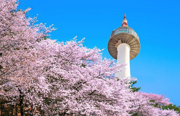 Tour Tết ÂL: Thưởng ngoạn mùa xuân Hàn Quốc (4N4Đ)