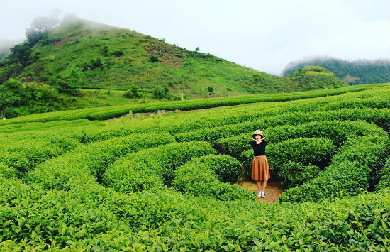 đặt tour du lịch tây bắc thường ngoạn mùa đông giá hấp dẫn