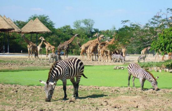 mua tour du lịch thái lan dịp tết nguyên đán 2018 giá rẻ nhất