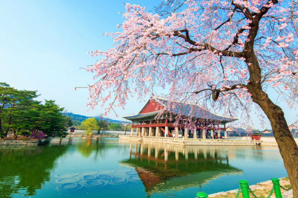 Đặt vé máy bay Vietjet Air đi Seoul giá rẻ nhất