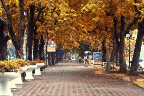 đặt vé máy bay đi hà nội giá tốt