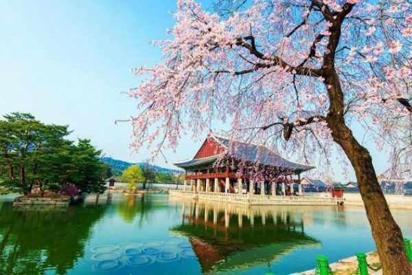 Hướng dẫn thủ tục xin visa đi du lịch Hàn Quốc 99% đậu