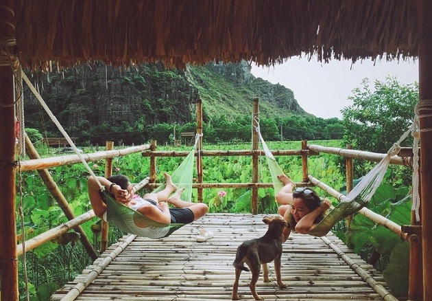 Homestay Ninh Bình nằm giữa hồ sen hệt như phim cổ trang