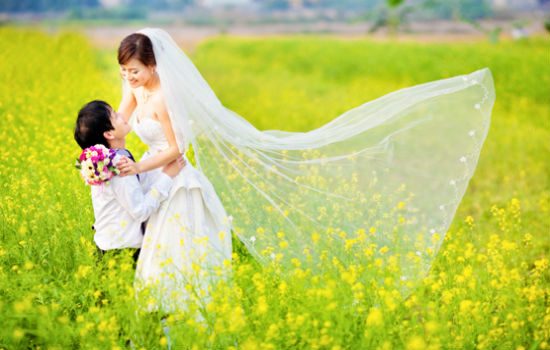tour du lịch Hà Nội mùa cải vàng
