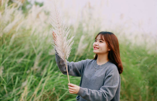 Hà Nội lại bắt đầu một mùa cỏ lau trắng muốt, đẹp rụng tim