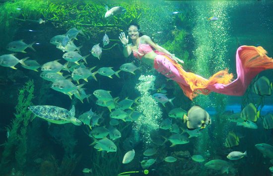 đi du lịch vinpearl land phú quốc