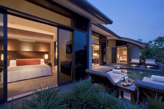 tìm khách sạn singapore cho phép thú cưng