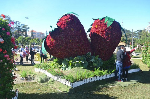 Lý do bạn nên gác lại mọi thứ, xách balo đi du lịch Đà Lạt dịp cuối năm
