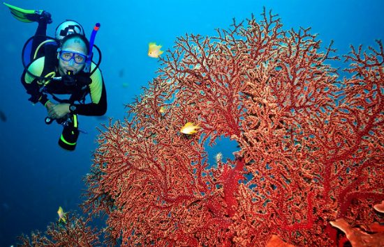 đặt vé máy bay đà nẵng bangkok giá rẻ