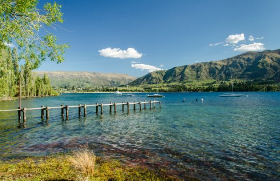 kinh nghiệm xin visa đi new zealand du lịch