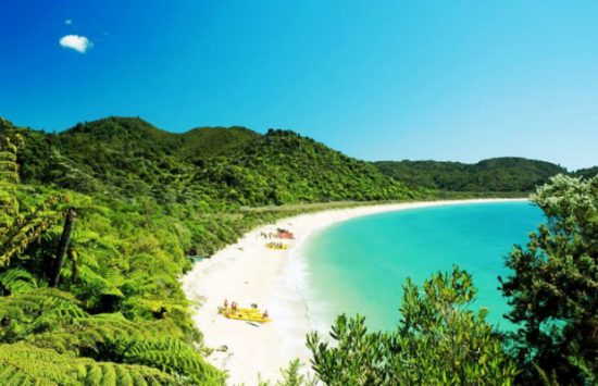 kinh nghiệm xin visa du lịch new zealand