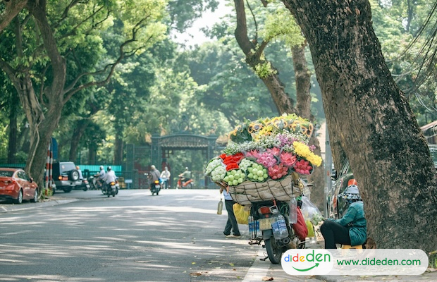 Cách mua vé máy bay Đà Lạt đi Hà Nội dễ dàng nhất cho bạn