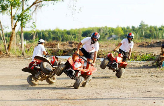 Tour Team Building Bò Cạp Vàng 1 ngày siêu hấp dẫn