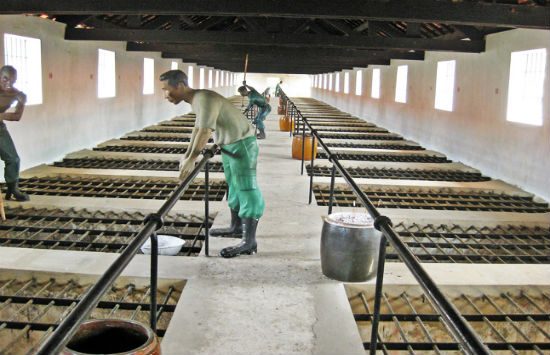 tour du lịch miền tây 3n2đ