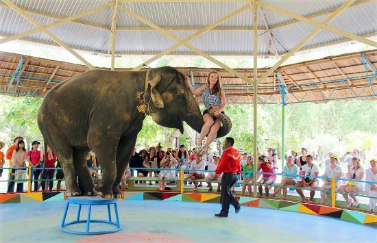 đặt tour du lịch Nha Trang dịp Tết Nguyên Đán 2018 giá tốt nhất