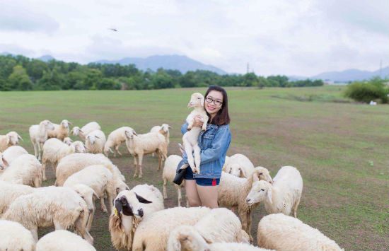 tour du lịch vũng tàu một ngày