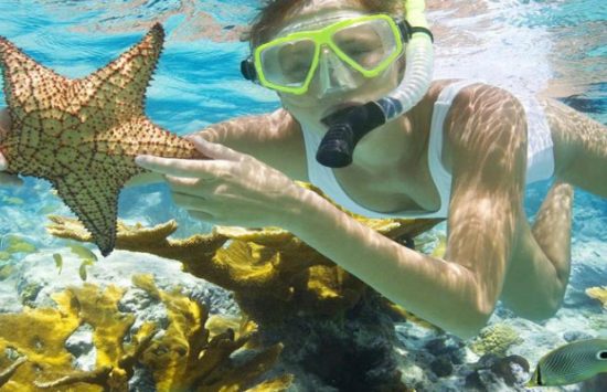 vé máy bay từ cần thơ đi Đà Nẵng vietjet