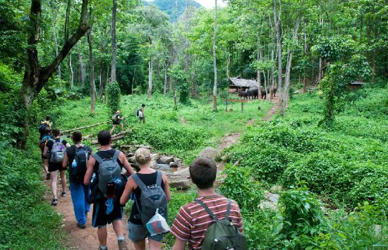 đặt vé máy bay từ đồng hới đi chiang mai