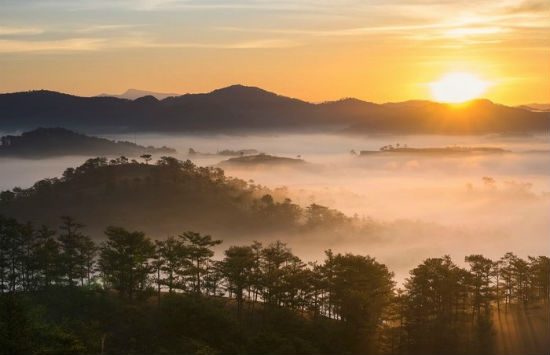 đặt vé máy bay đi đà lạt