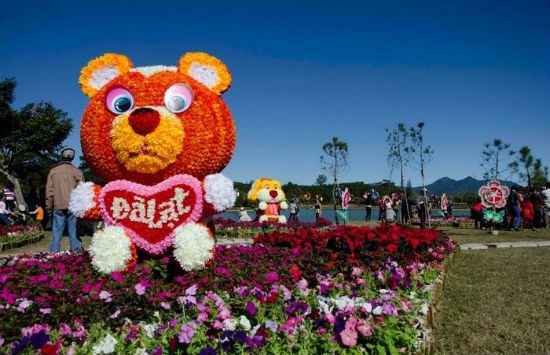 mua vé máy bay Đà Nẵng – Đà Lạt tham dự Festival Hoa 2017 giá rẻ nhất